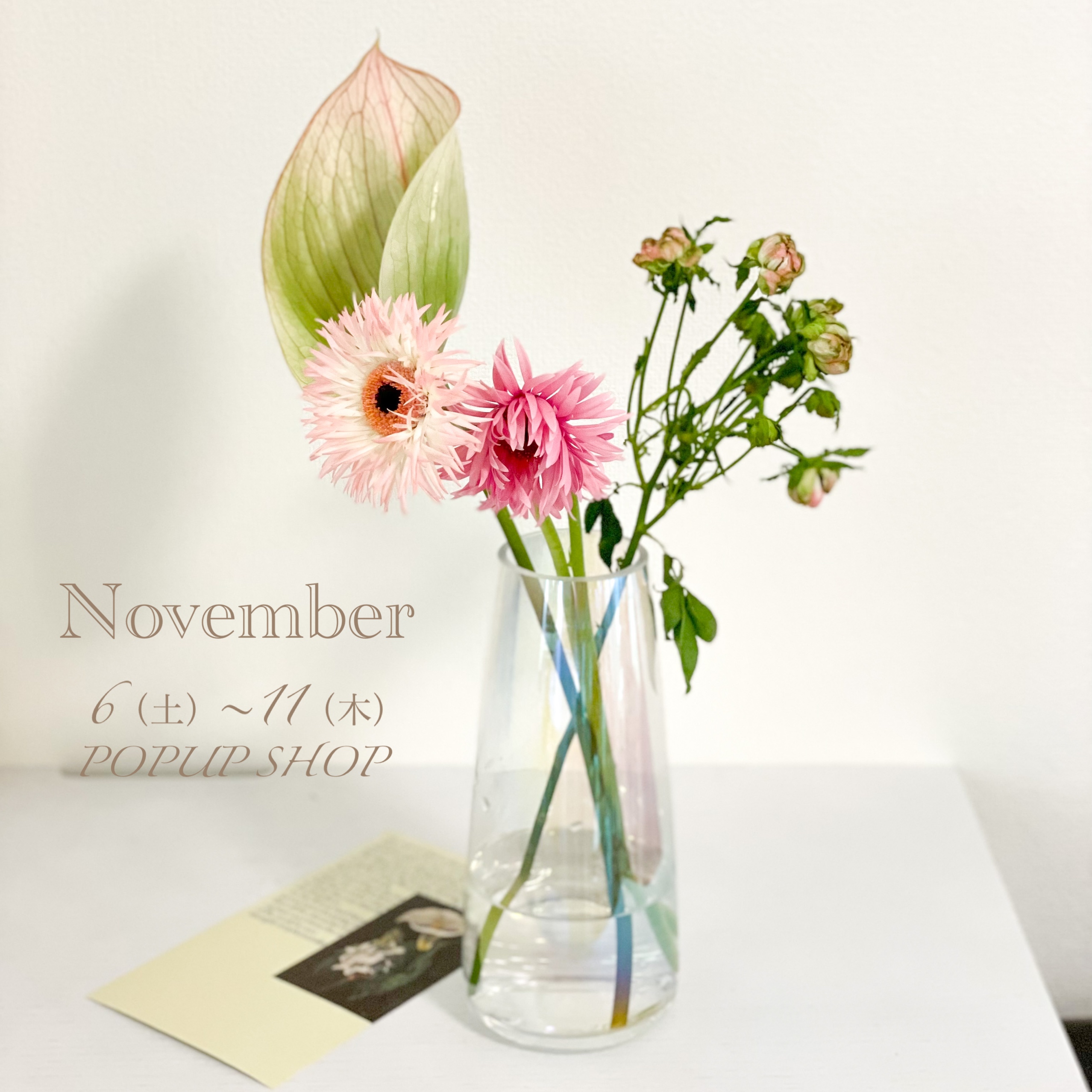 【pop up shop】11月6日(土)〜11日(木)ポップアップショップ開催致します！
