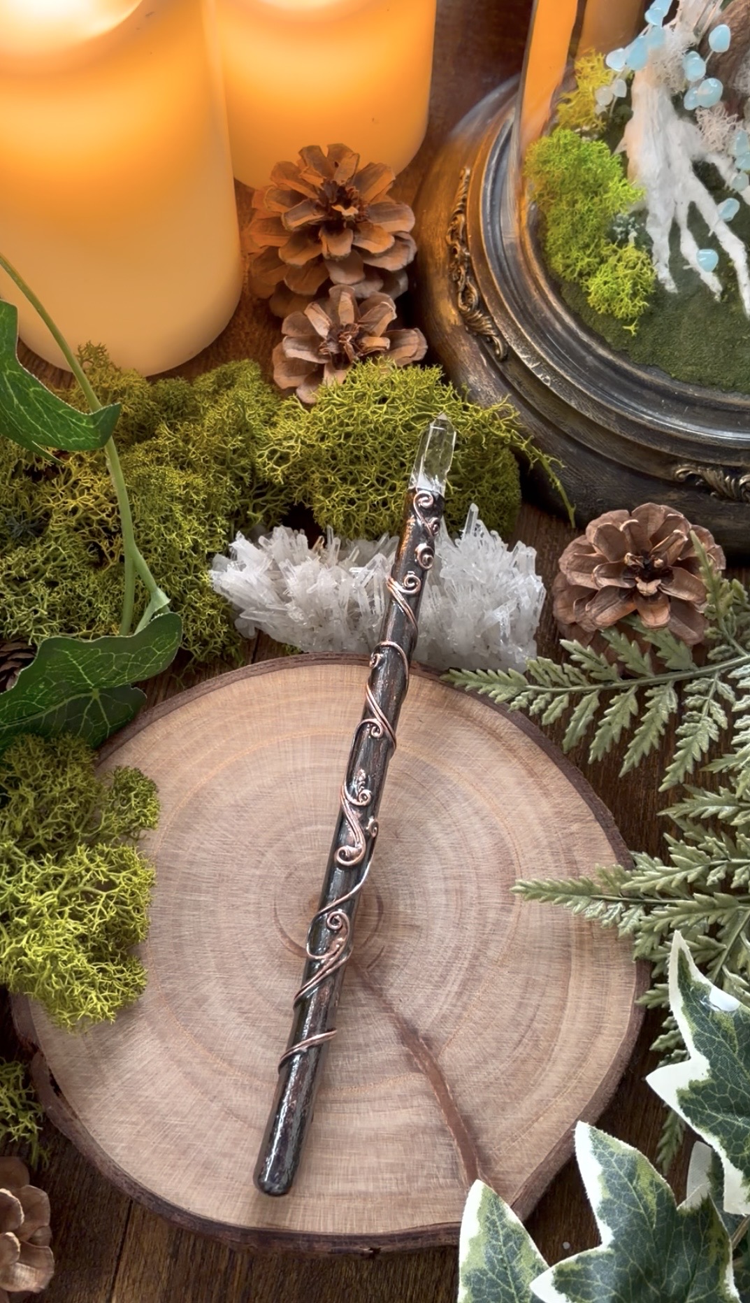 月桂樹の魔法の杖　エレクトロフォーミング