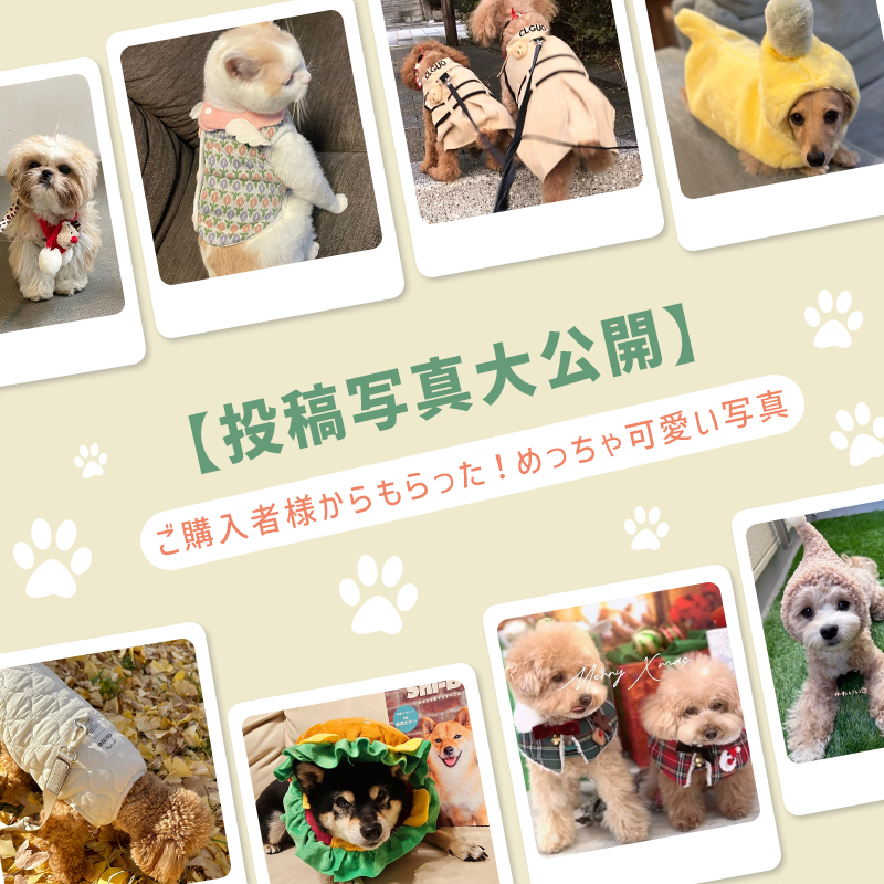 【投稿写真大公開】ご購入者様から投稿された写真🚀-10.10更新
