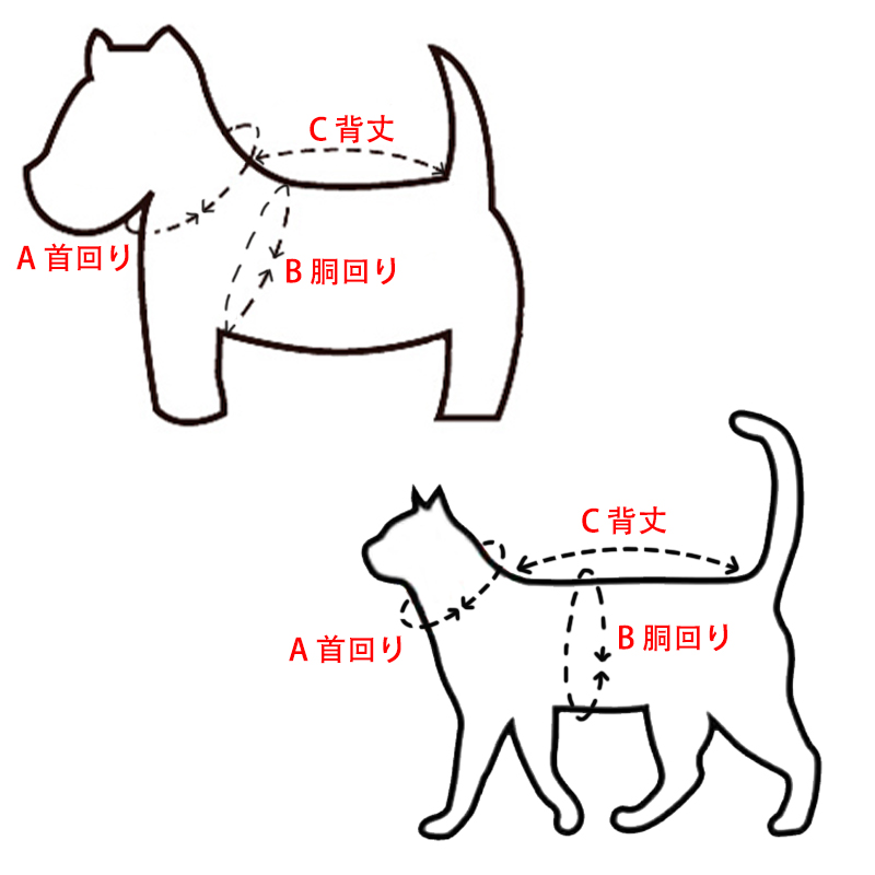 【サイズの測り方】愛犬・愛猫のサイズを見つけよう！