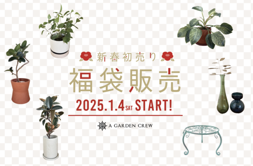 ＼1月のイベント情報／