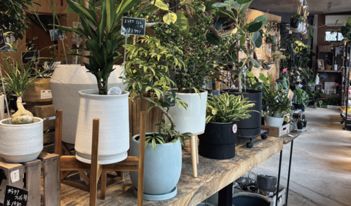 3/28(土)29(日)9周年感謝祭