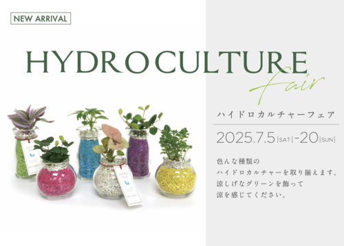 ＼7月のイベント情報／