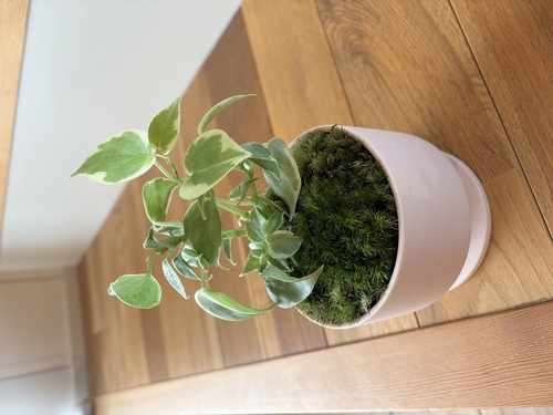 ＼2月のイベント情報／