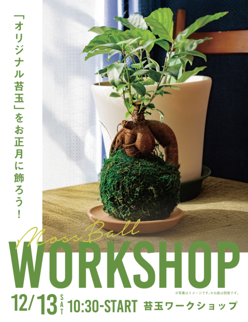 ＼12月のイベント情報／