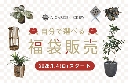 ＼1月のイベント情報／