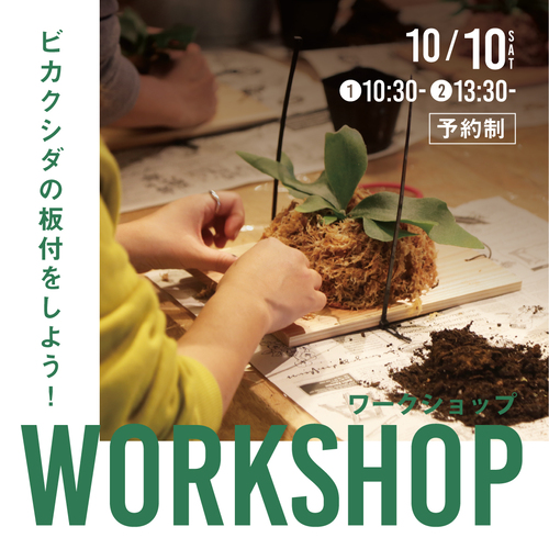 ＼10月のイベント情報／