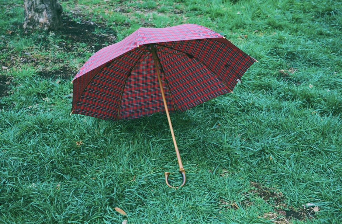 本日はmuuz傘2025年モデル雨傘を紹介します！Day3