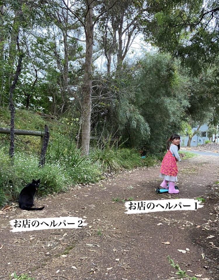 皆さまお久しぶりです!