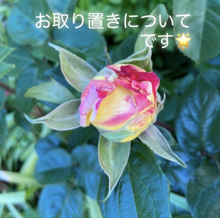 お店の商品を一か月間お取り置きしまとめて配送することができます