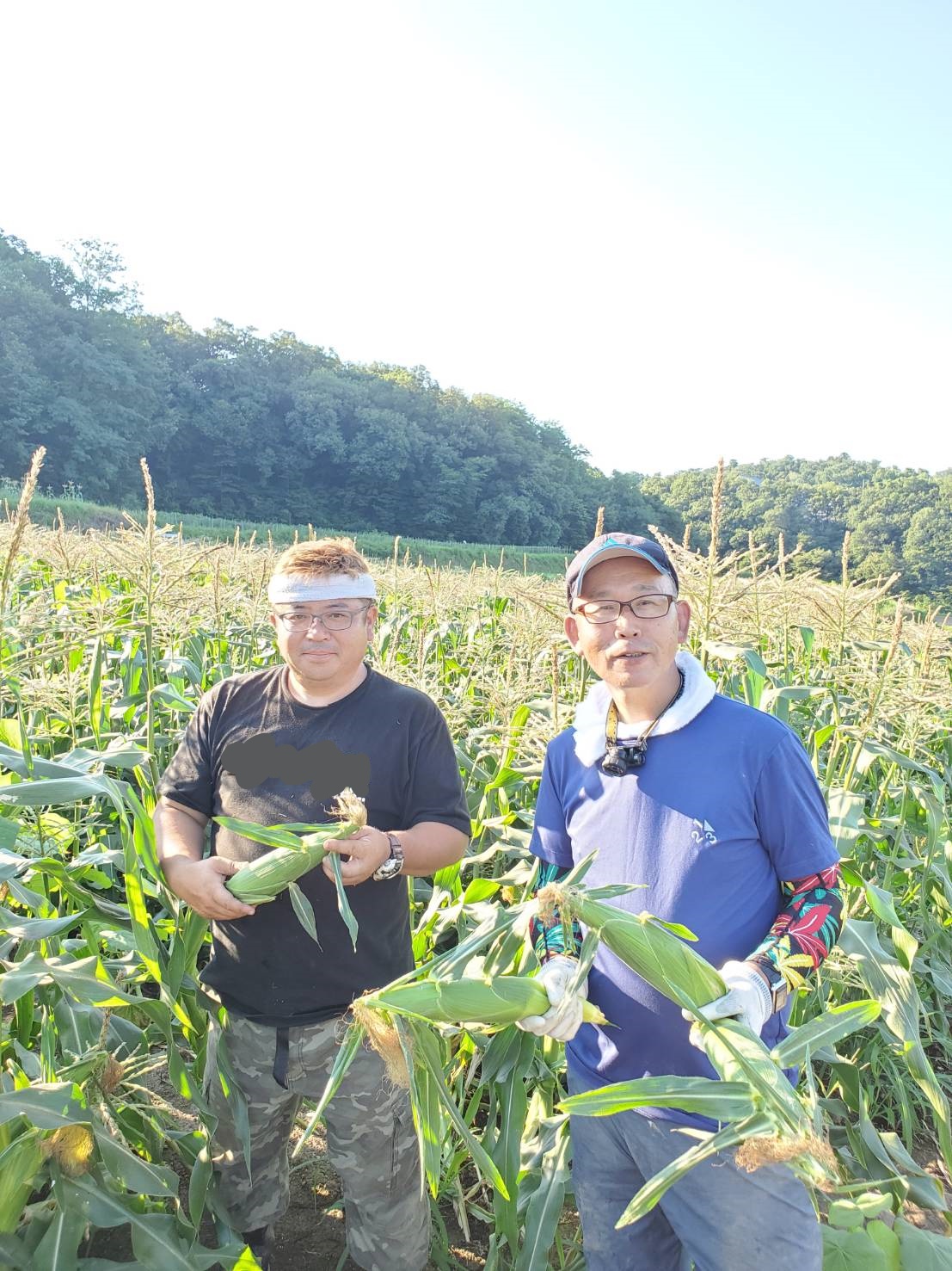 本格的な夏がやってきました。とうもろこしも益々美味しくなっています🌽