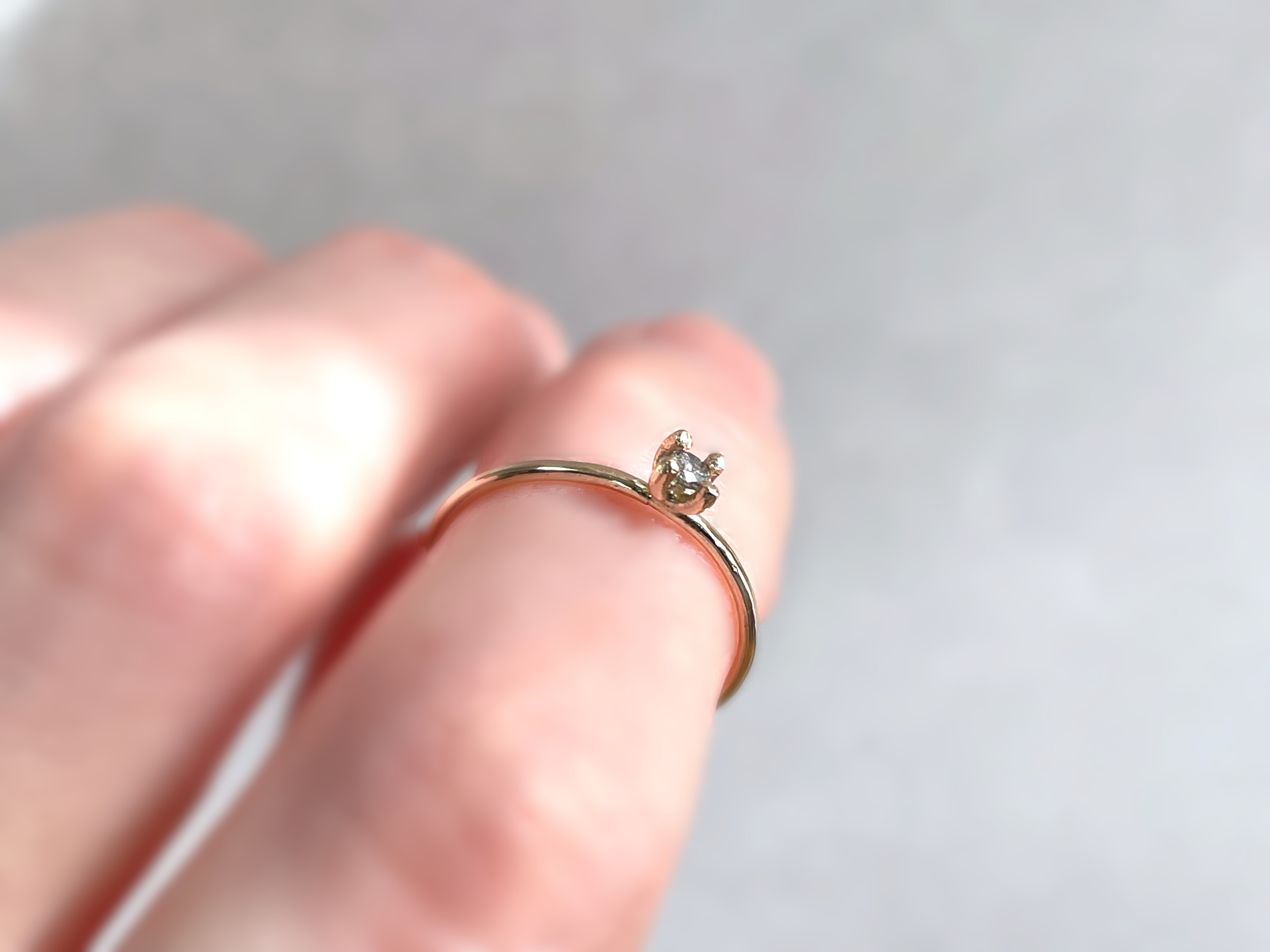 新作のお知らせ