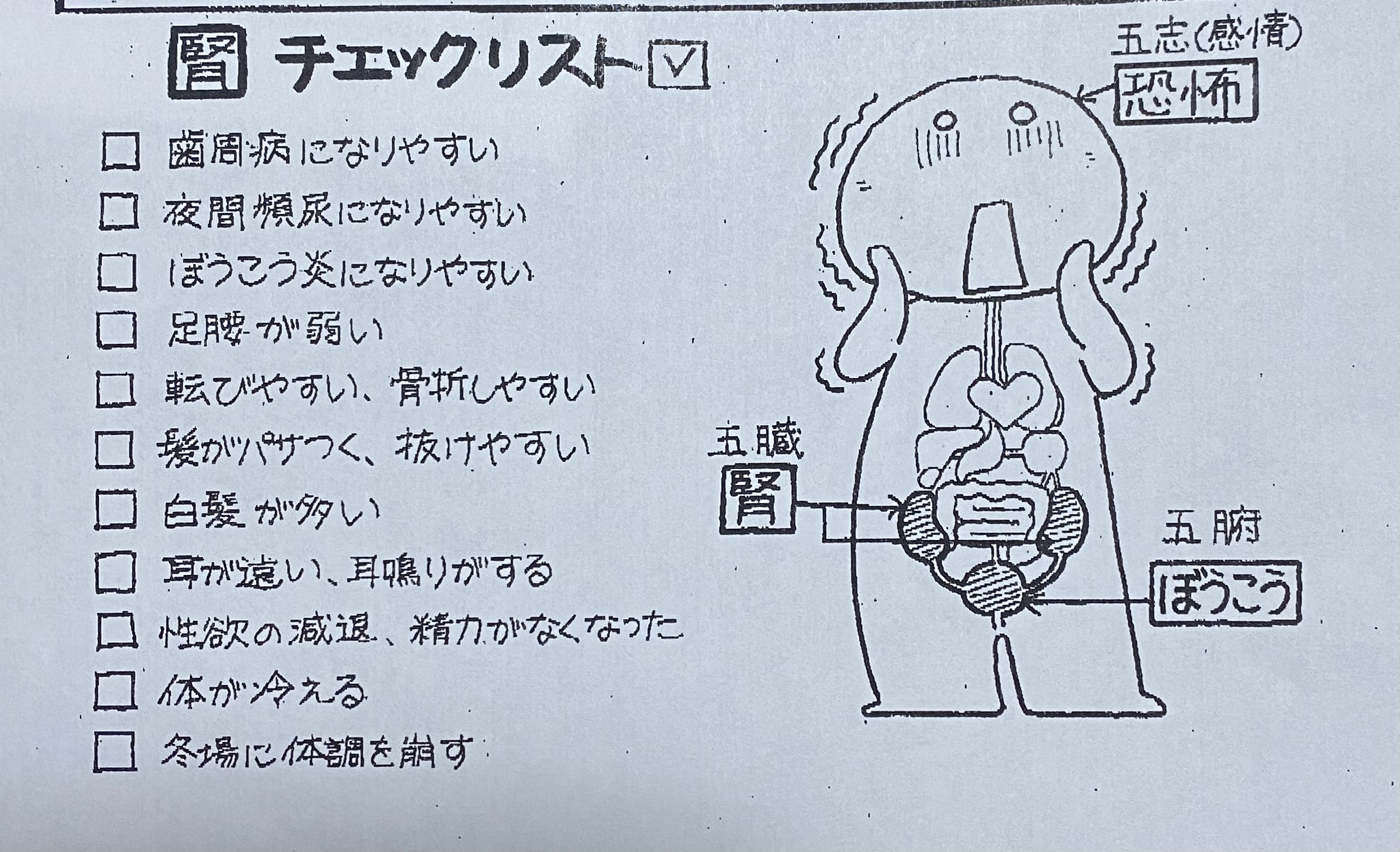 冬❄️　腎臓・ぼうこうの機能は大丈夫？