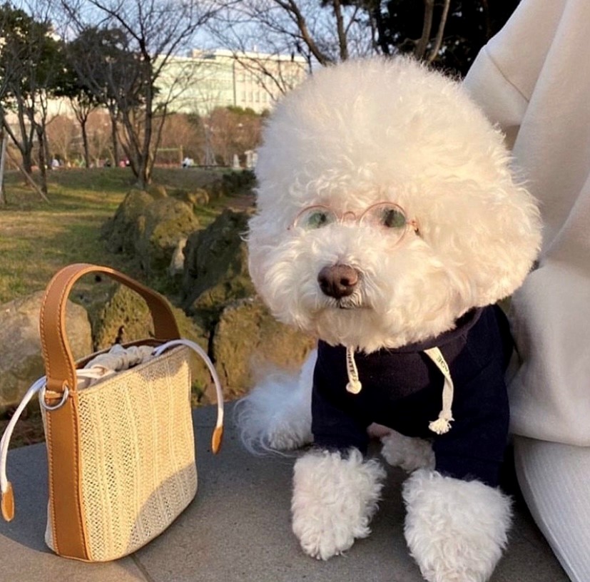 Instagramを始めました！