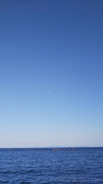 月日の流れが早すぎて💦