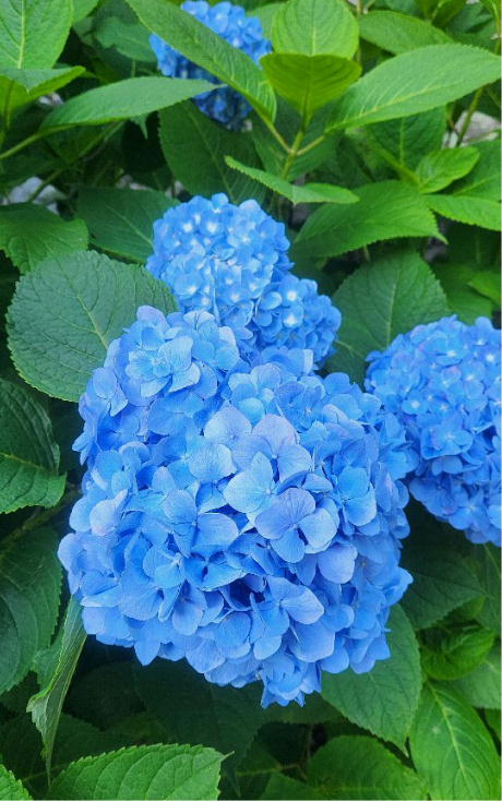 気づけば夏🌴☀️