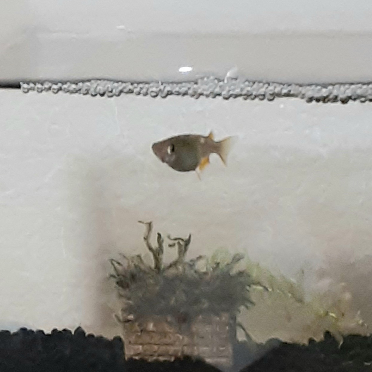 人間っていいな