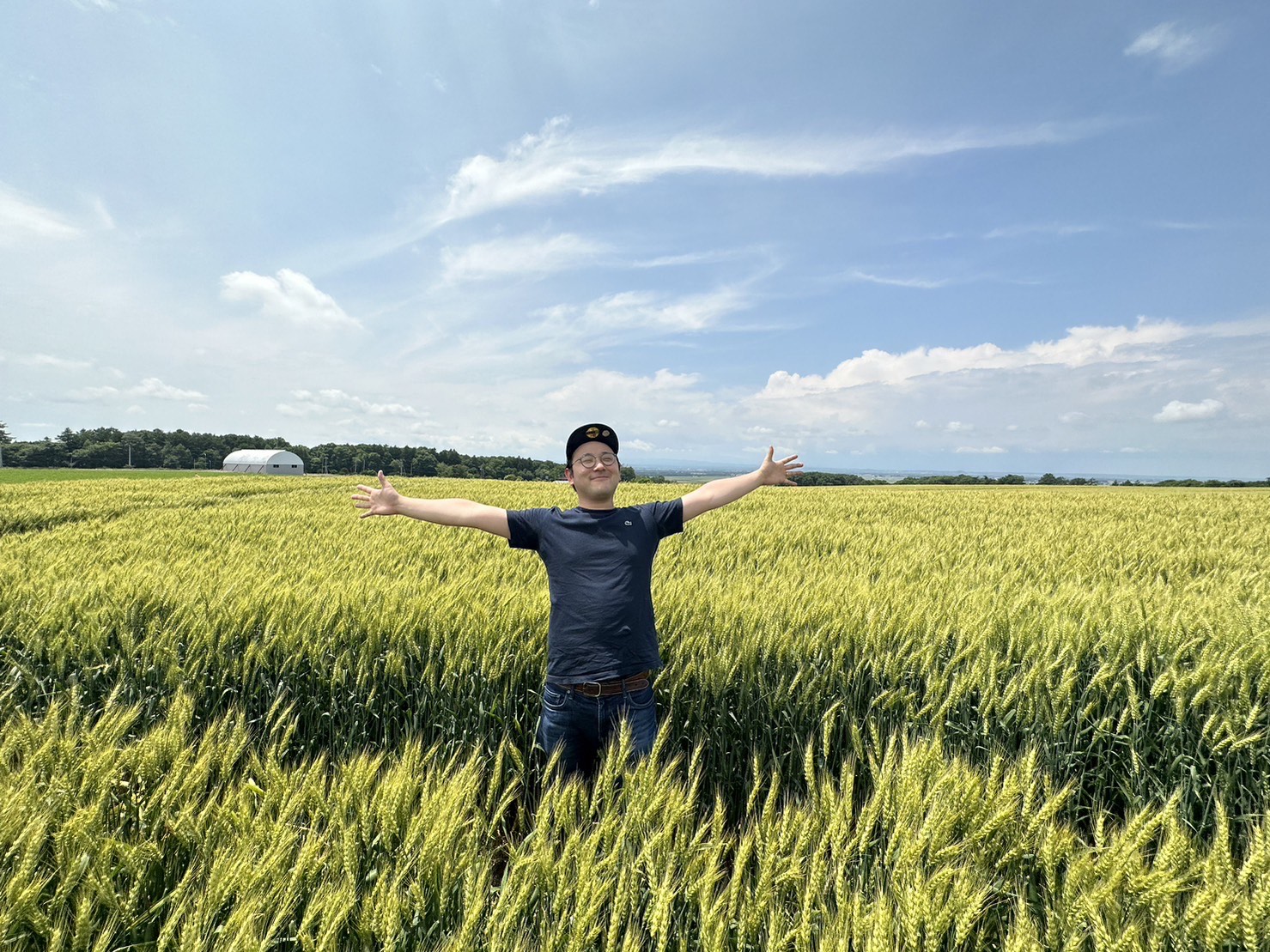 北海道の小麦、今年もフサフサ育ってます