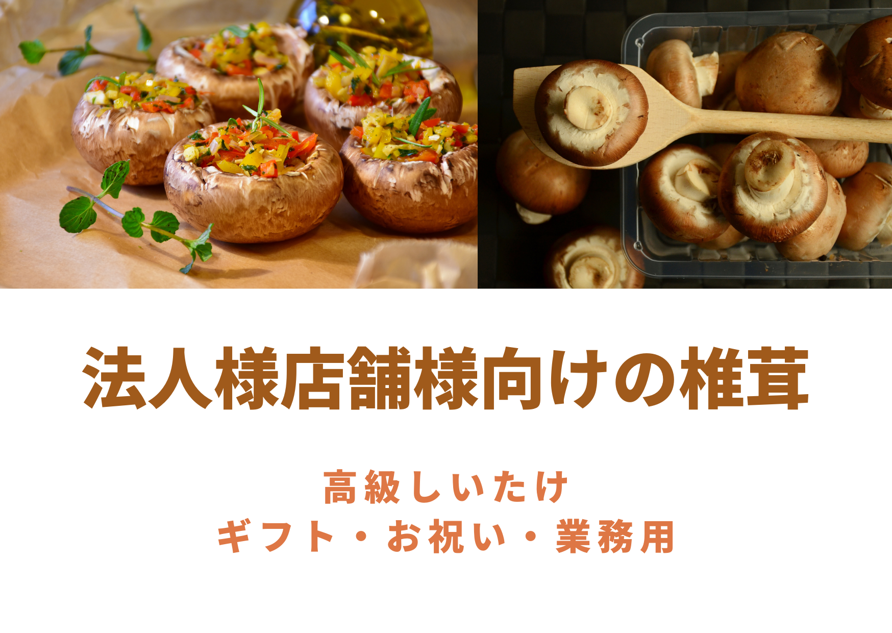 法人様、店舗様向けの椎茸を承ります