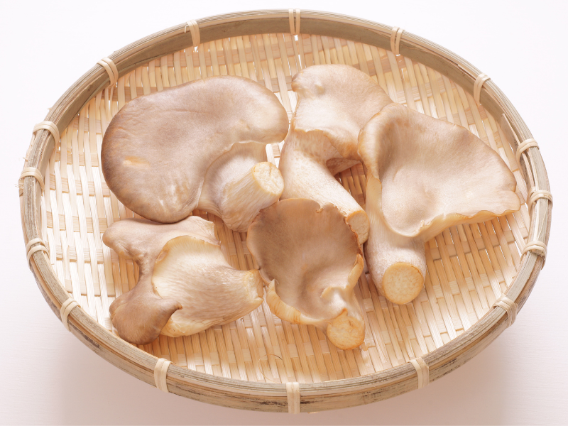 希少な「あわび茸」を限定発売します。