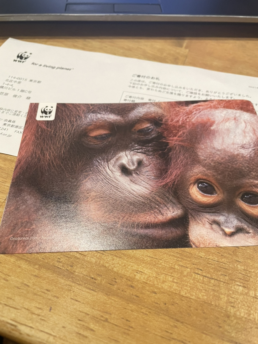 当たり前にあるものへの恩返しをしたい