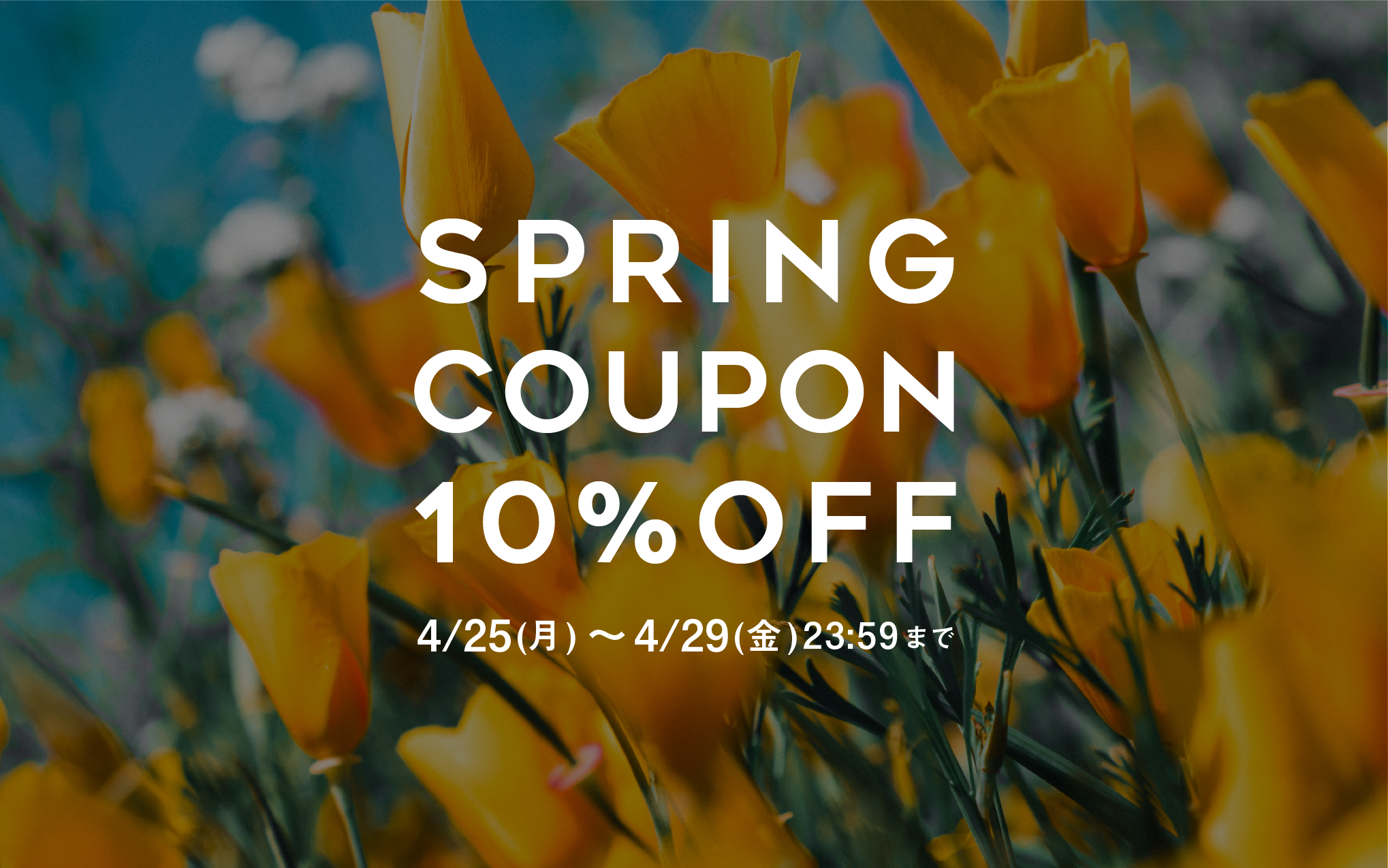 Spring Coupon 10%OFF