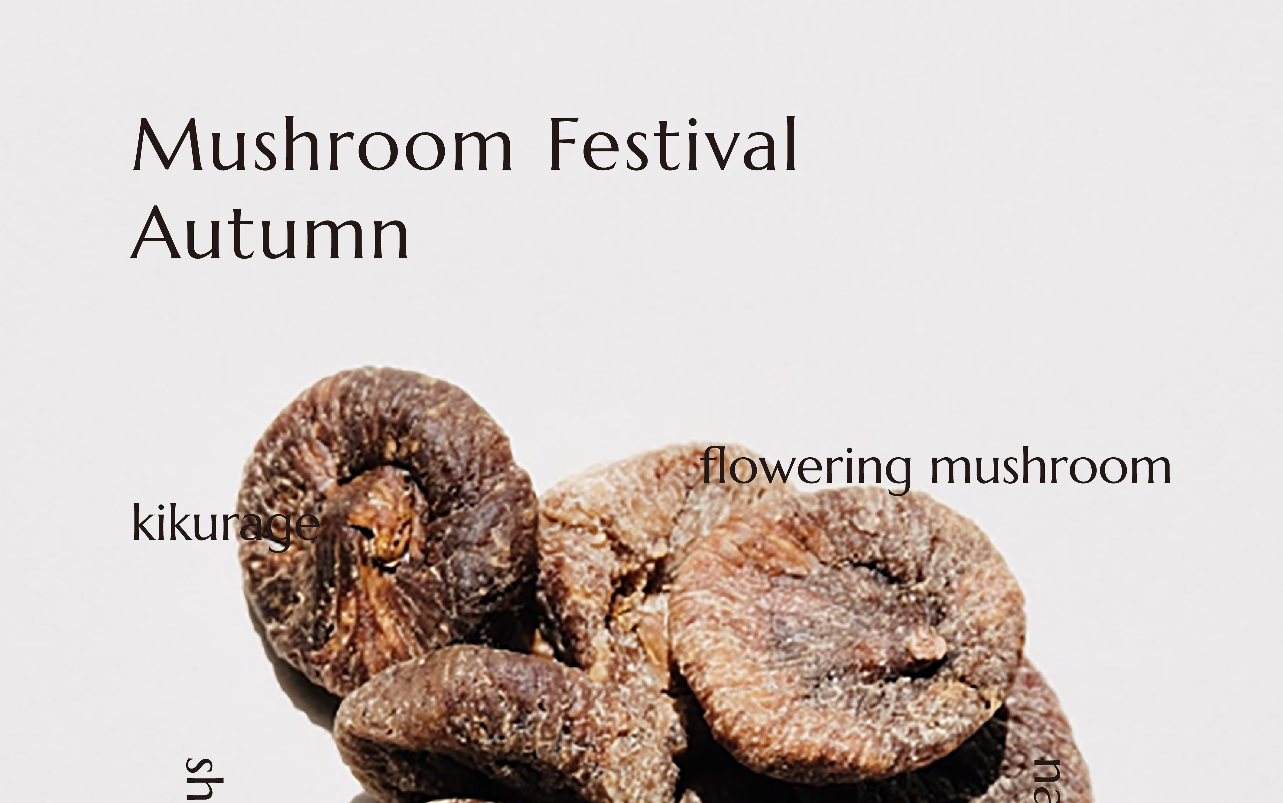秋のきのこ祭り Autumn Mushroom Festival