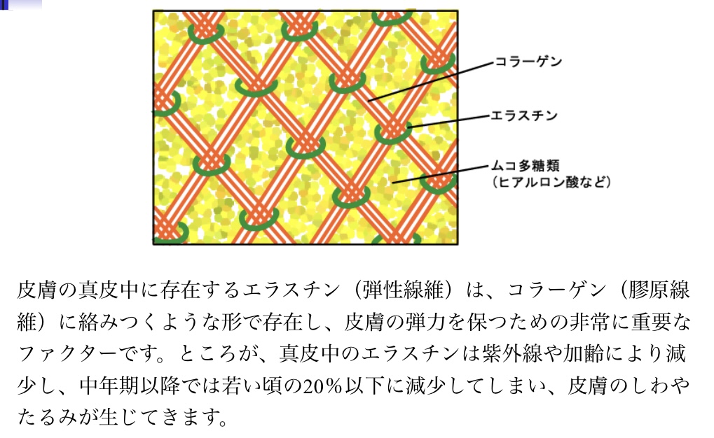 Platinum ESに関して