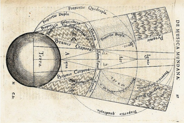 自然のつみきが新入荷　　囁きを聴く