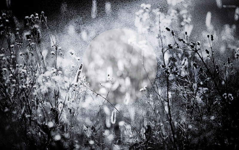 種子が入荷 遅れて