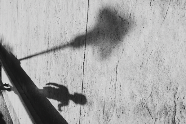 バーバラ・クーニーの絵本が入荷 子どもは感じる