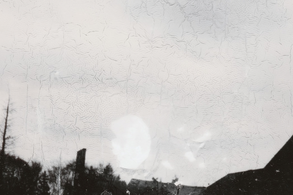 春の絵本が入荷 ただ花が咲く