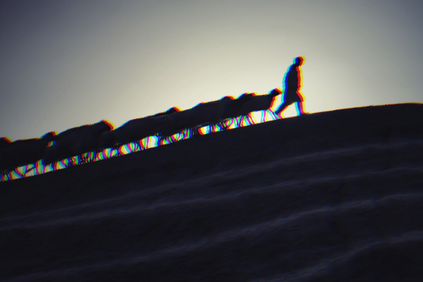 「ジョットという名の少年」絵本　　混沌と調和の物語