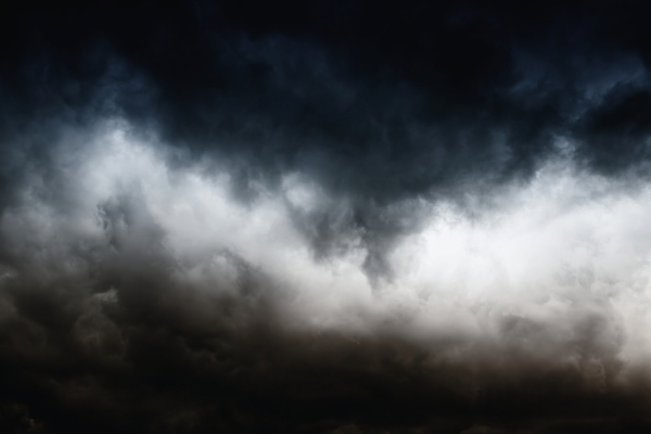 ブロンテきょうだいの絵本入荷 感触の記憶