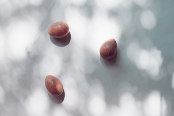 エッグシェーカー 入荷