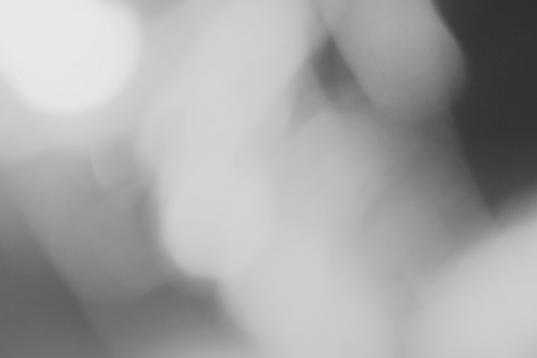 写真絵本入荷 ひとときに永遠を