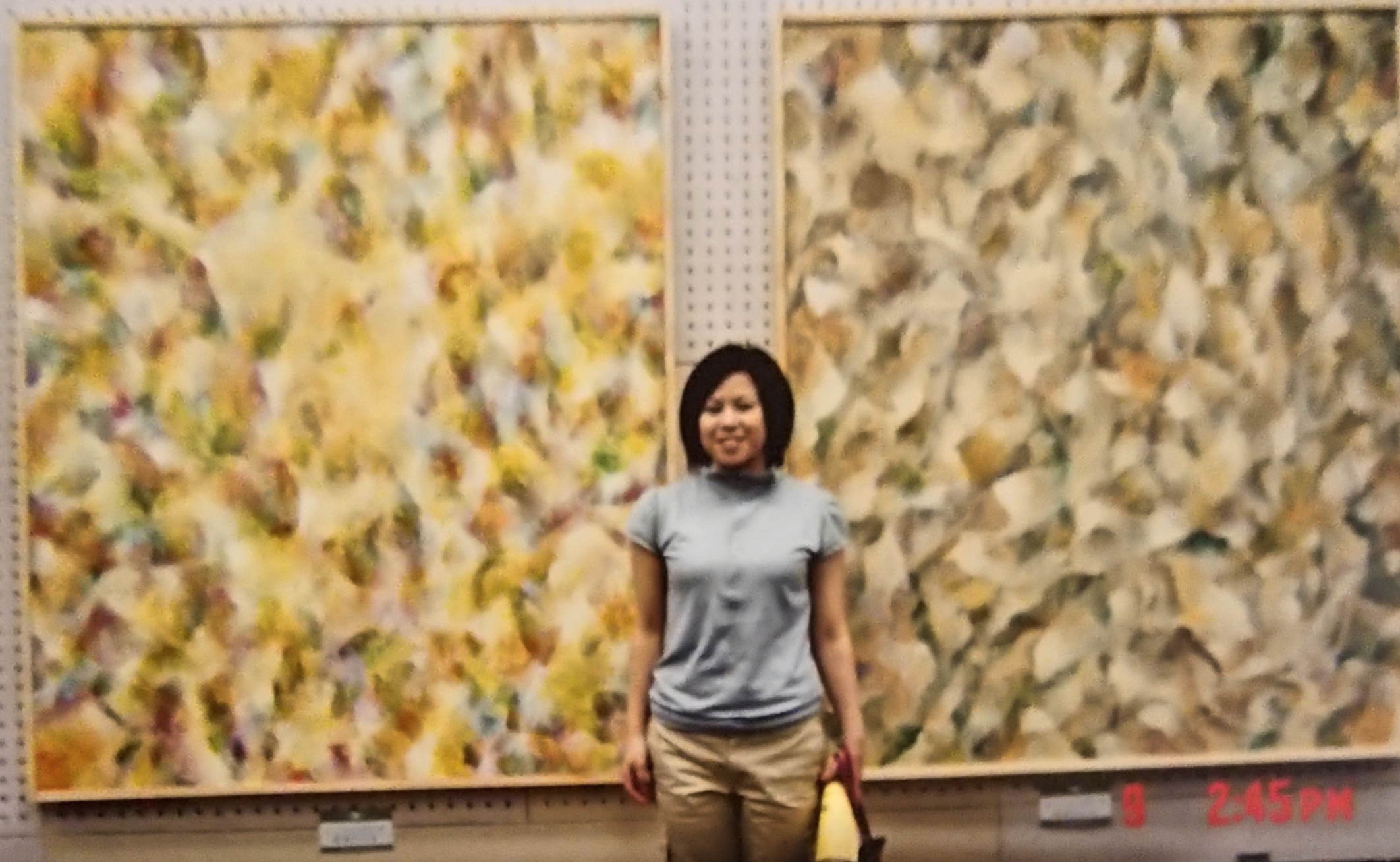 画家: Casarin について
