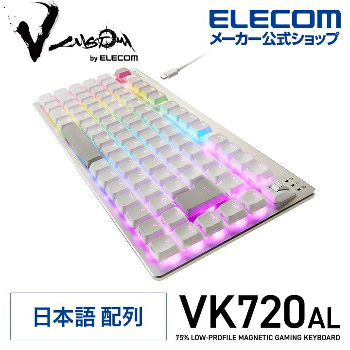 絶対に見逃せない！今こそ買うべきエレコム V custom ゲーミングキーボードの魅力！