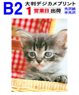 2025年春の特別企画！スマホ写真を1営業日で素早くプリントして、ウェルカムボードに最適な一枚を手に