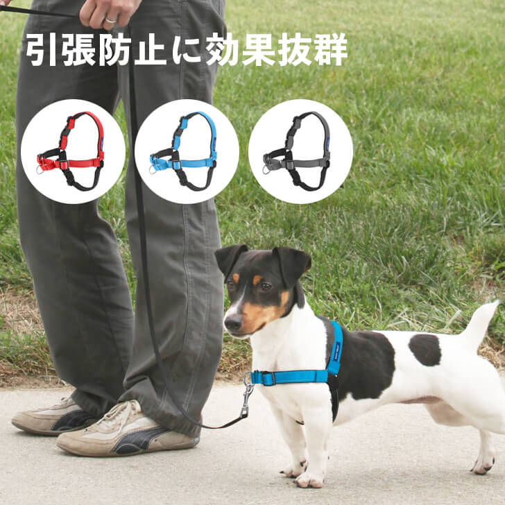 本日の新価格！引っ張り防止効果抜群のイージーウォークハーネスで愛犬も快適散歩