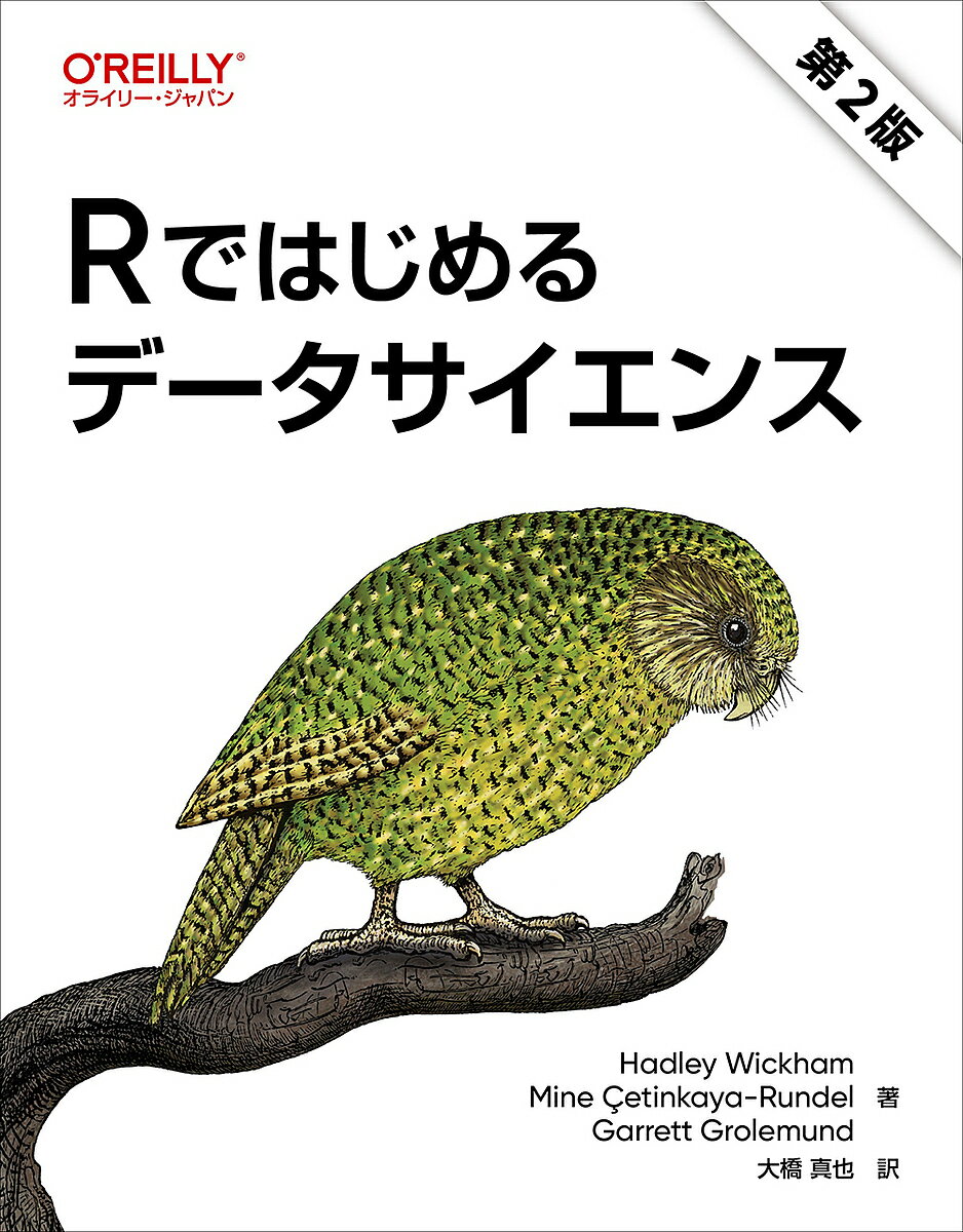 データサイエンス初心者必見！『Rではじめるデータサイエンス』を今すぐ手に入れよう！