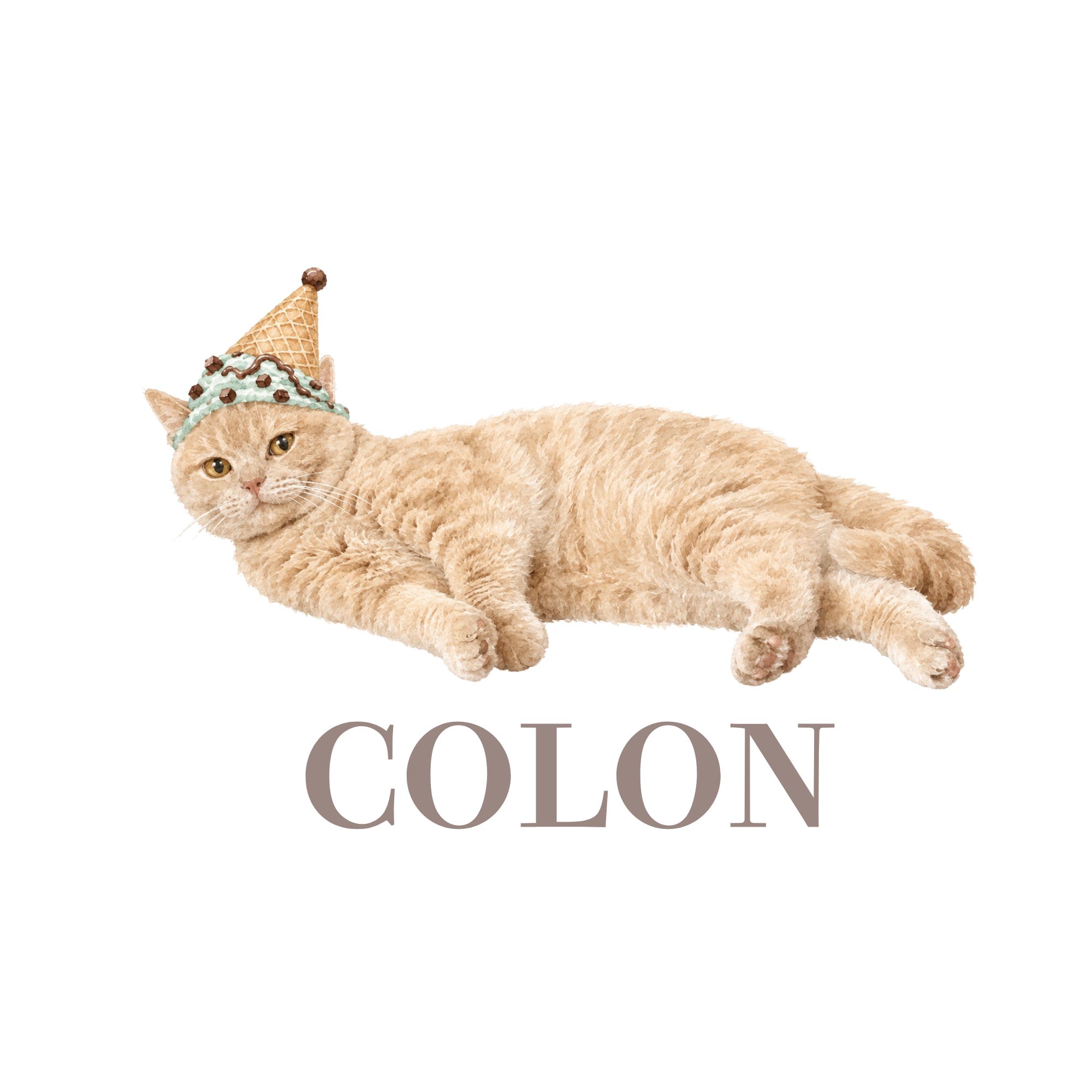 うちの子水彩Tシャツ colonさん🐈♡