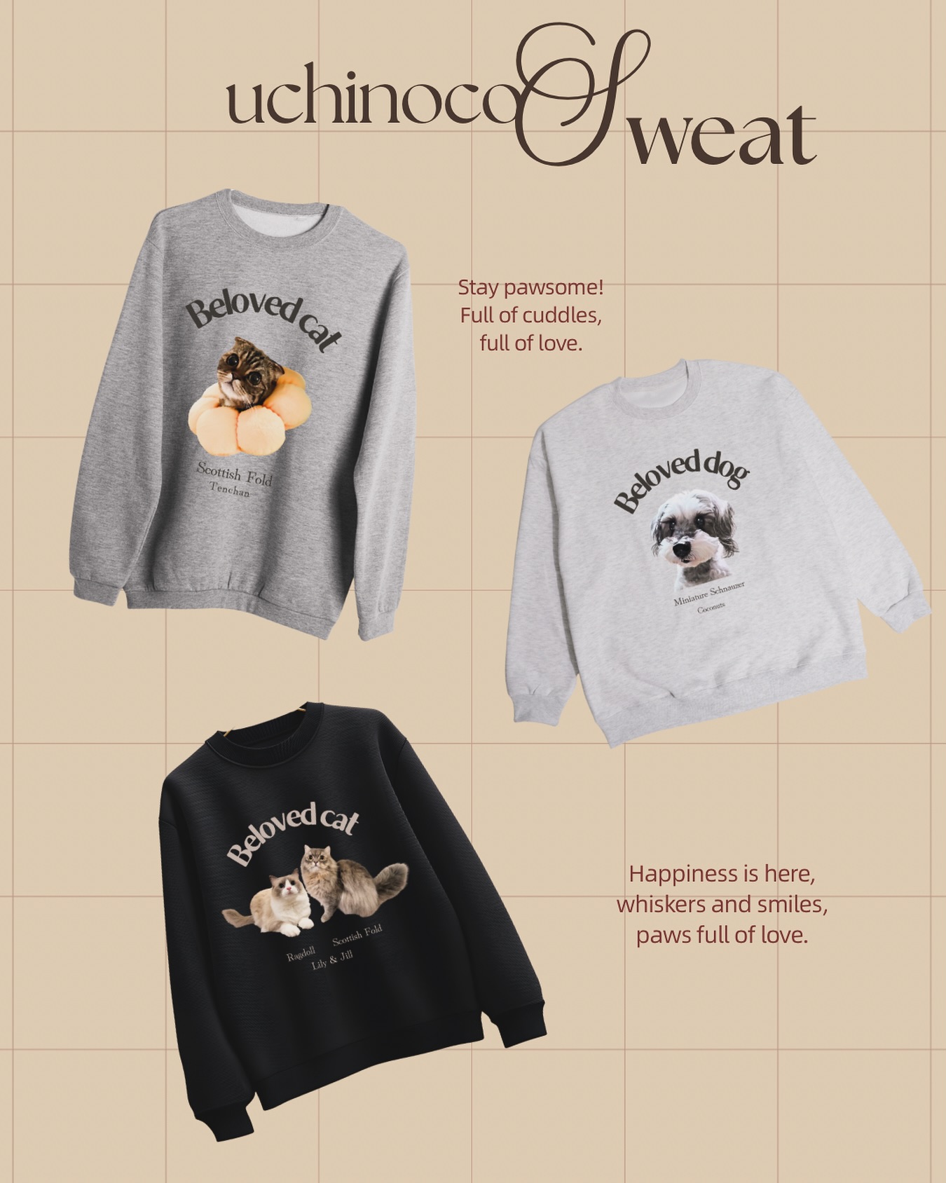 うちの子スウェット🐾