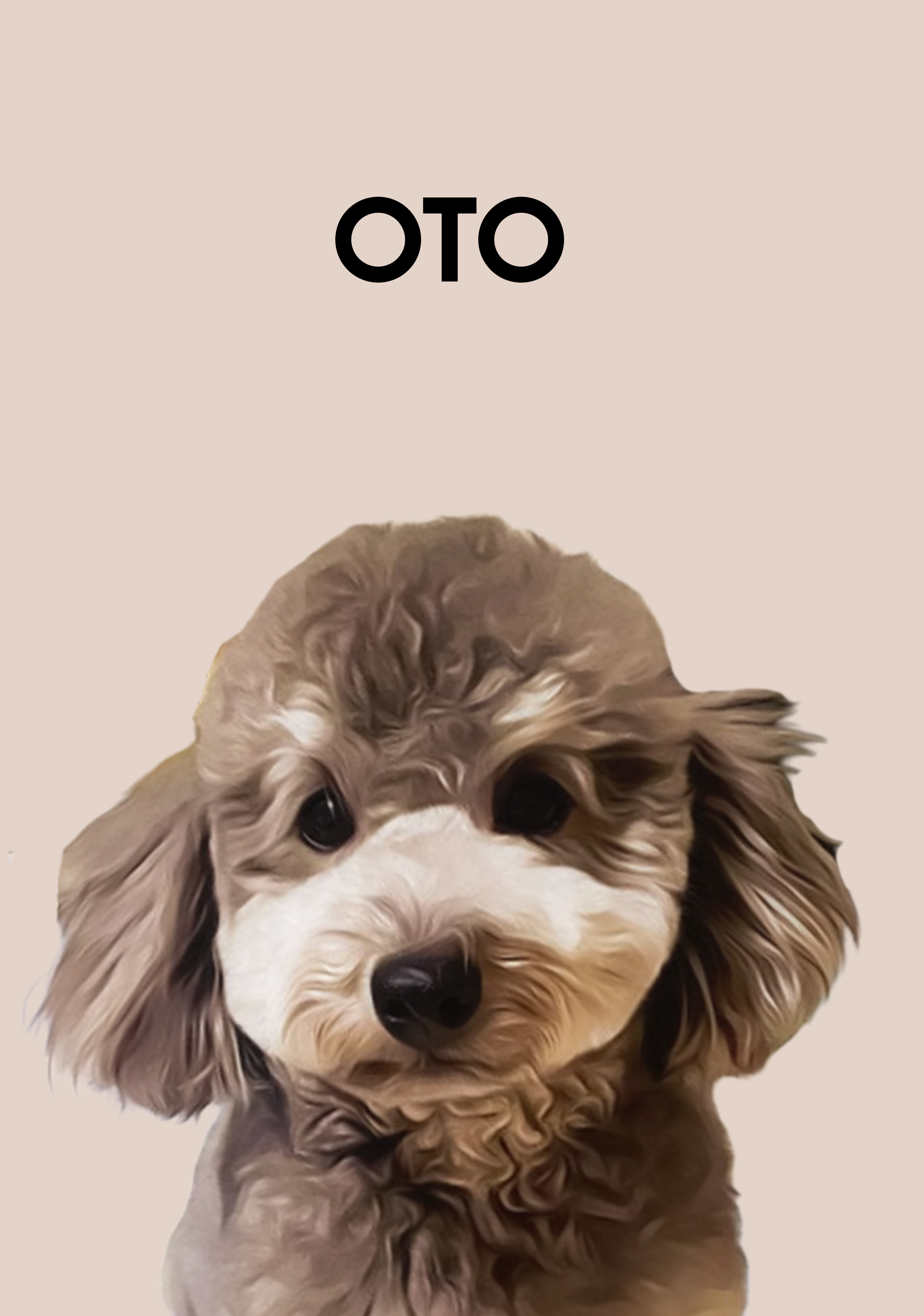 OTOちゃん🐕