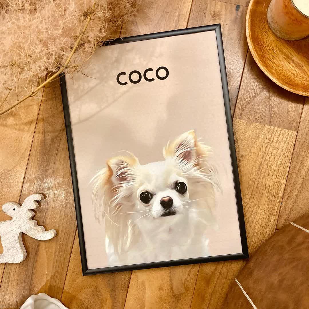 ❁cocoさん