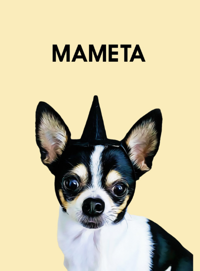 MAMETAくん🐕