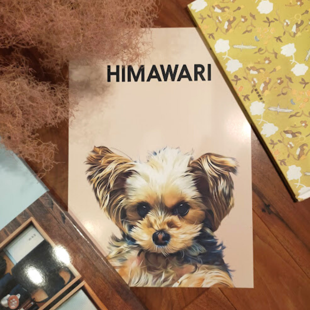 ❁Himawariさんᐡᐧﻌᐧᐡ