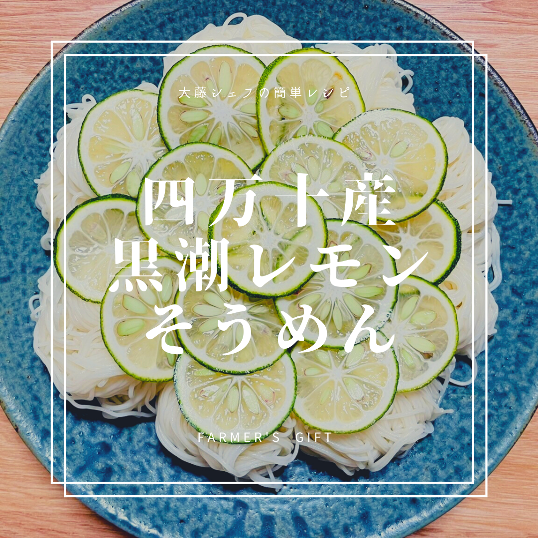 四万十産 黒潮レモンそうめん
