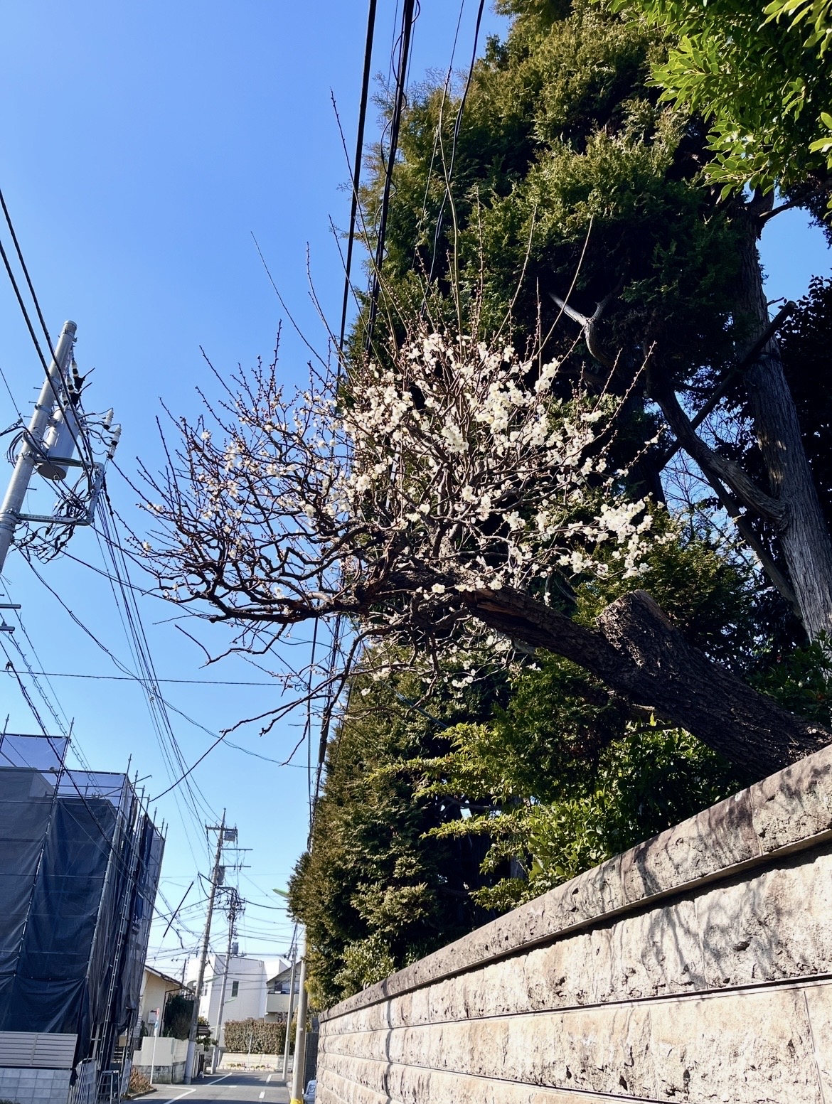 境界線を持ちながら、やさしくひらく