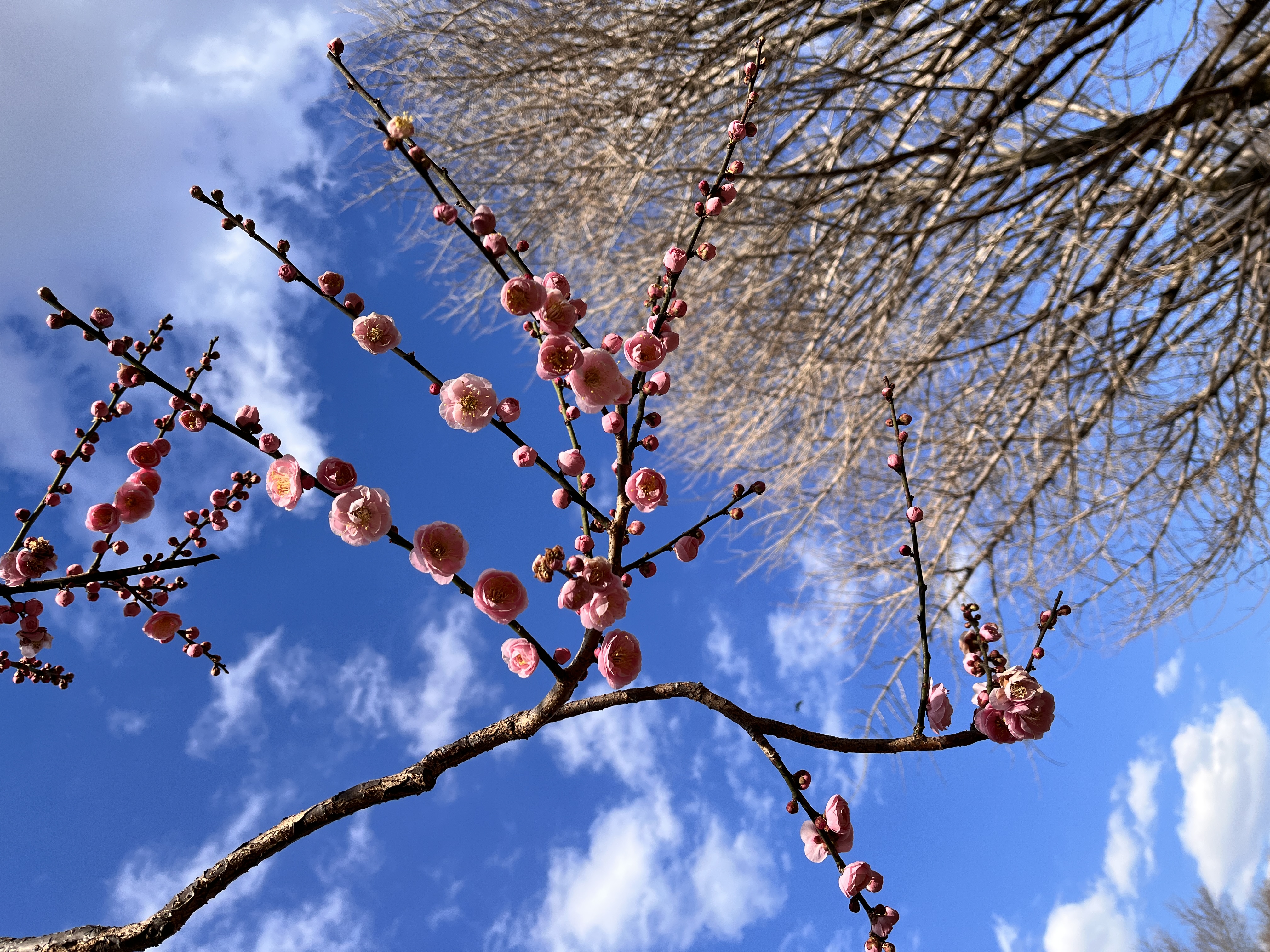 立春を過ぎても冷える足元に。手編みウールのアンクルウォーマーが心地いい理由